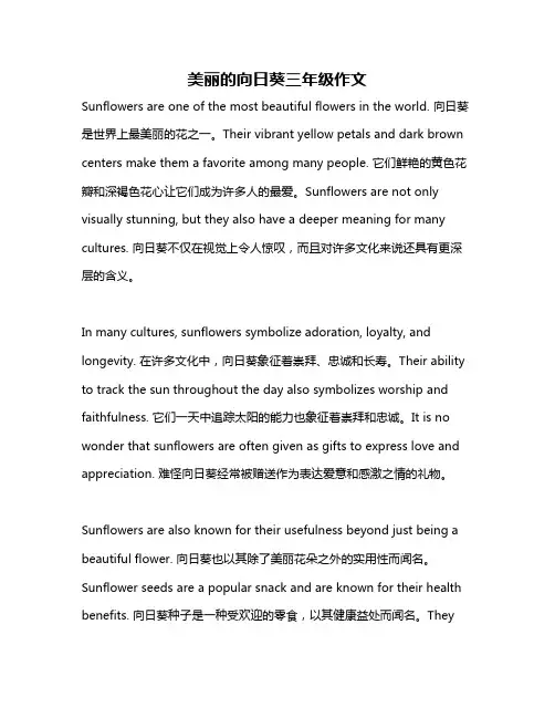 美丽的向日葵三年级作文
