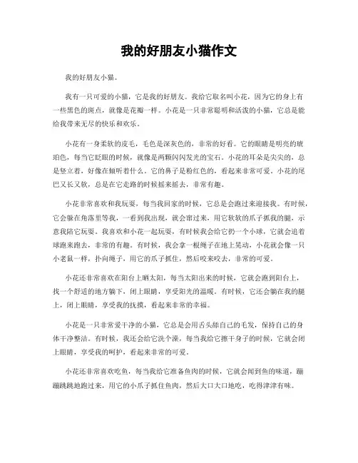我的好朋友小猫作文