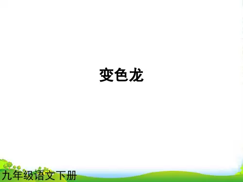 (课件直通车)九年级语文下册 第七课变色龙1课件 人教新课标