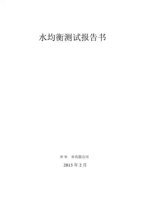 水平衡测试报告书