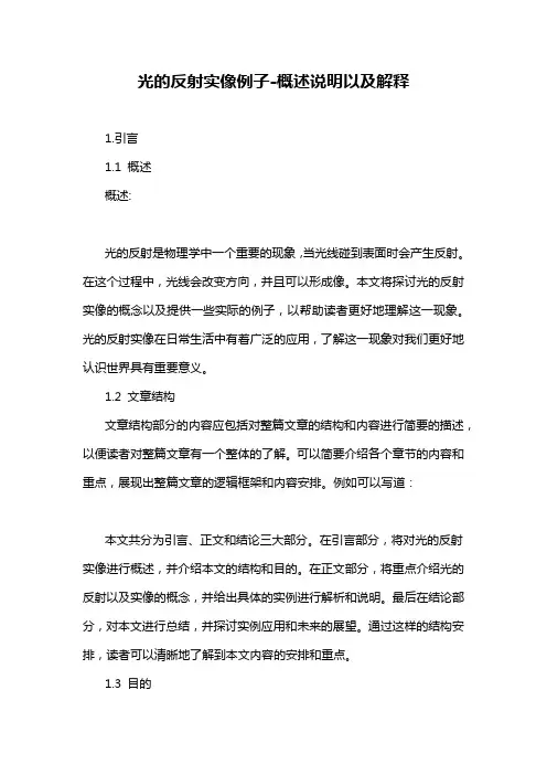 光的反射实像例子-概述说明以及解释