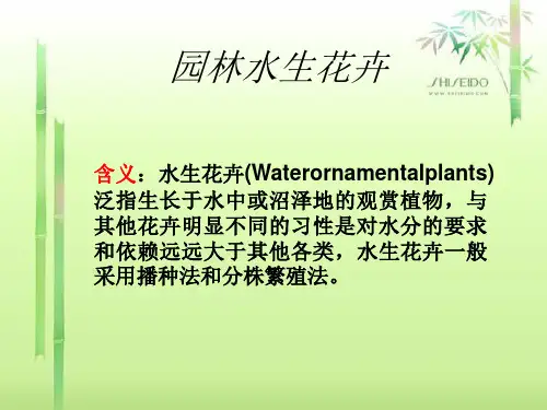第七组——水生花卉
