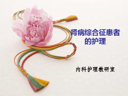 肾病综合征患者的护理