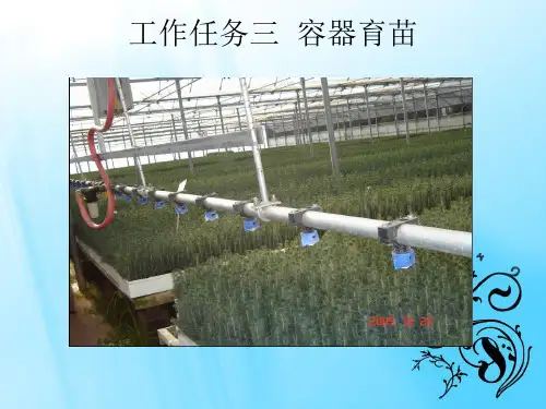 容器育苗