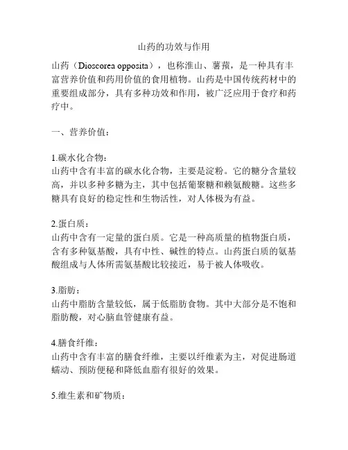 山药的功效与作用