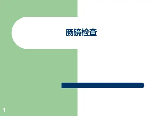 肠镜检查PPT课件