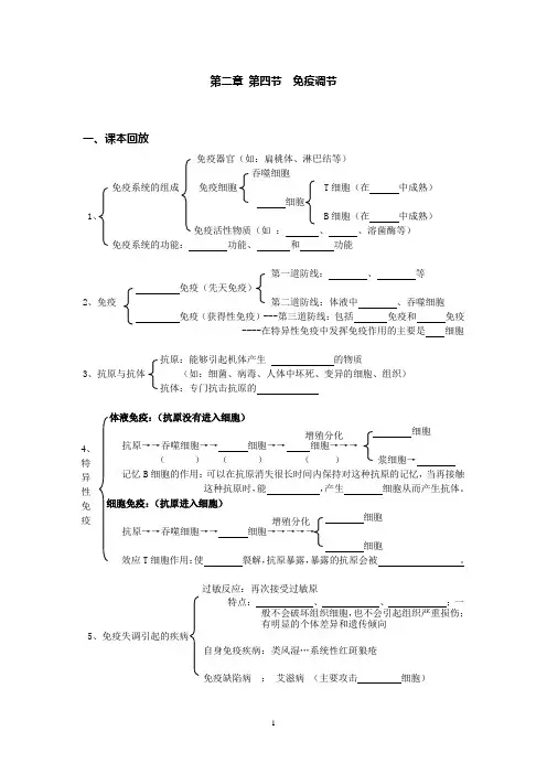 人教版免疫调节学案式复习卷