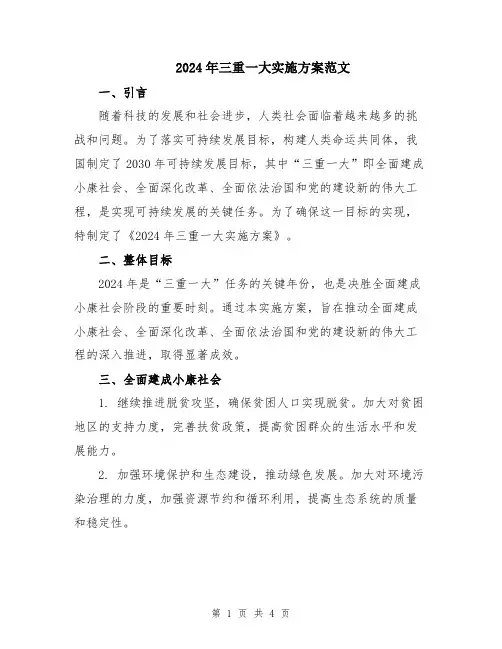 2024年三重一大实施方案范文