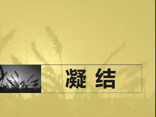 《凝结》ppt演示课件