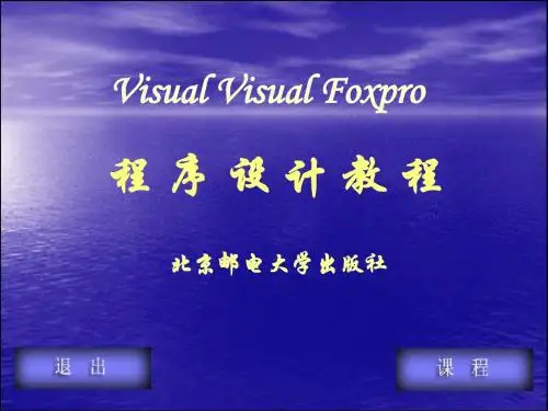 VFP第三章