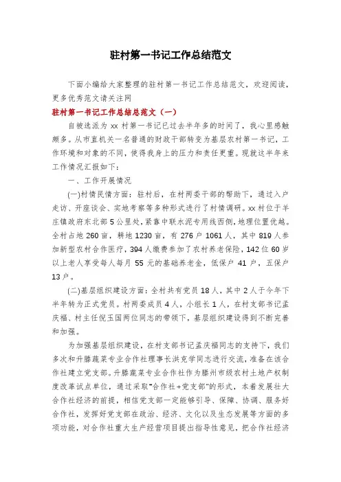 驻村第一书记工作总结范文