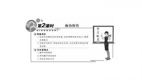 新人教生物必修1课件：酶的特性