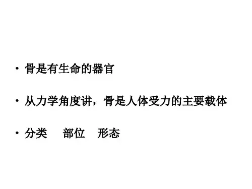 骨的力学性质PPT课件