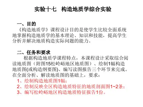 综合实验1