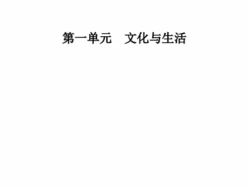 高中政治必修三课件：第一单元第一课文化与社会第二框