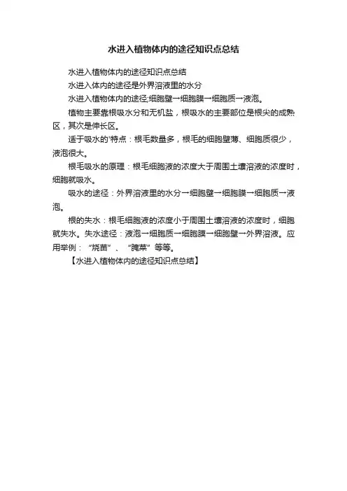 水进入植物体内的途径知识点总结
