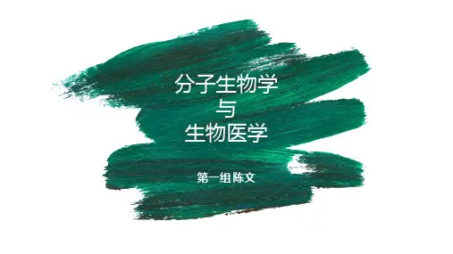 分子生物学与其他学科的关系