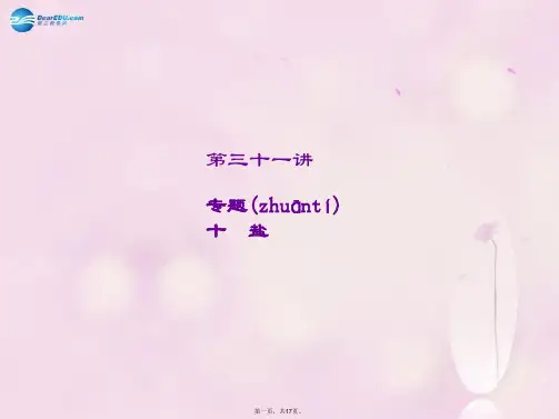 中考化学总复习 第31讲 专题十 盐课件