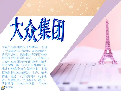 大众集团简介