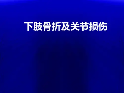 下肢骨关节损伤新PPT