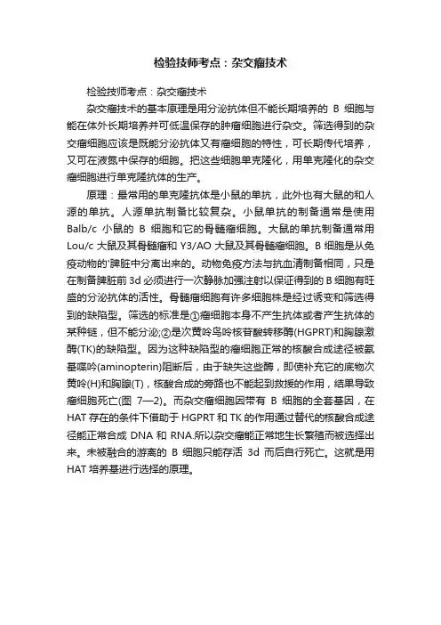 检验技师考点：杂交瘤技术