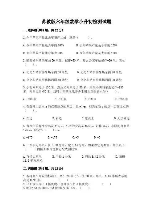 苏教版六年级数学小升初检测试题及答案(必刷)