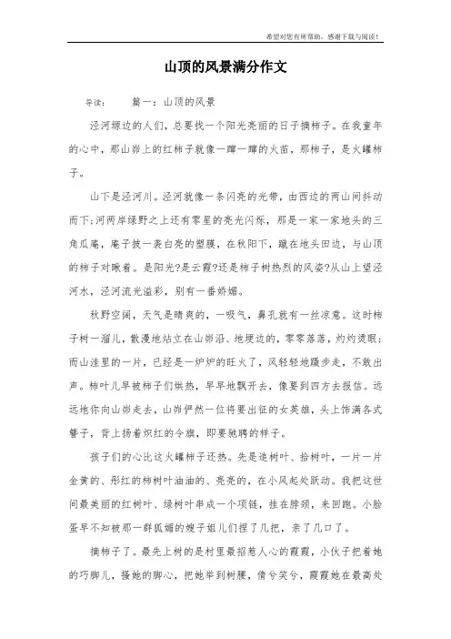 山顶的风景满分作文