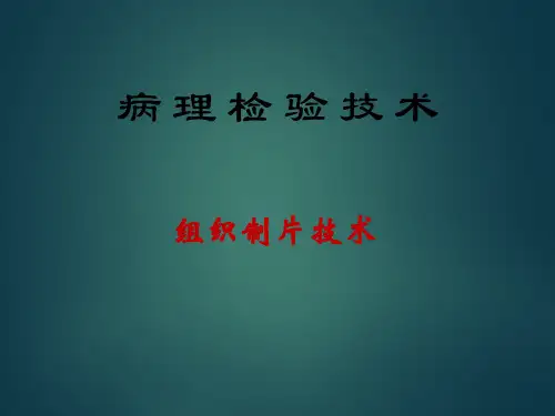 组织制片技术-病理检验技术PPT