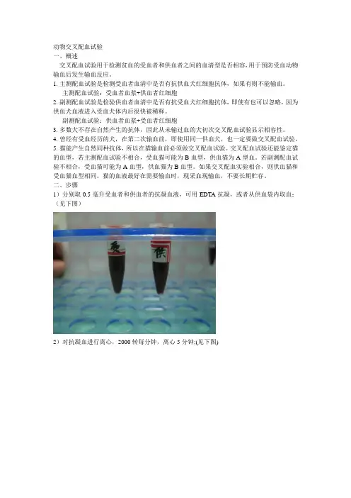 犬猫血液 输血知识