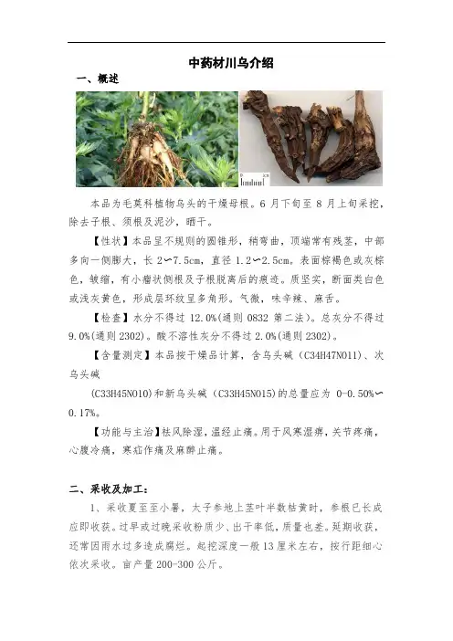 中药材川乌介绍