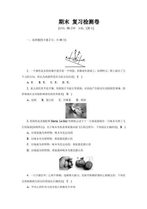 华师大版科学八年级上册期末 复习检测卷(答案版)