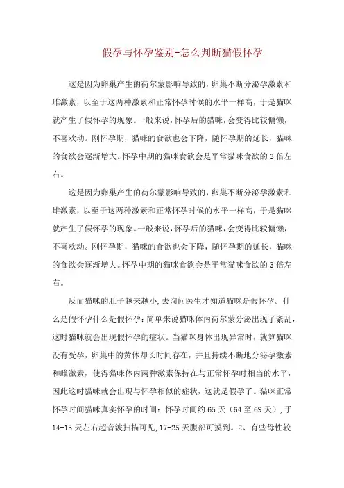 假孕与怀孕鉴别-怎么判断猫假怀孕