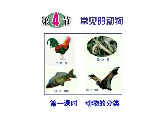浙教版七年级科学上册2.4.1 常见的动物(23张PPT)