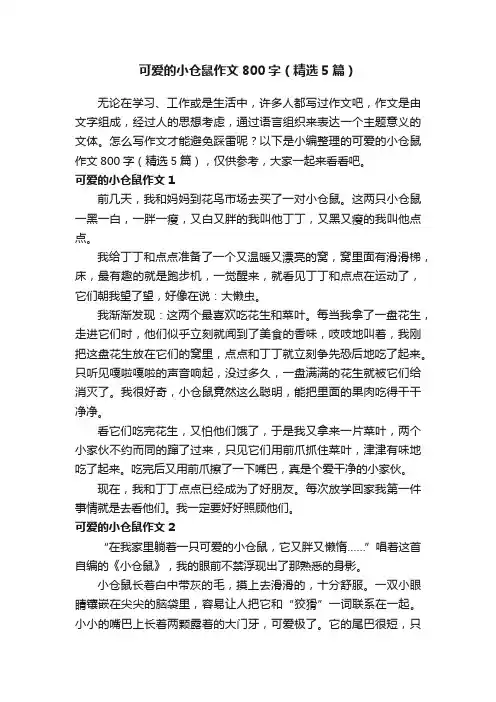 可爱的小仓鼠作文800字（精选5篇）