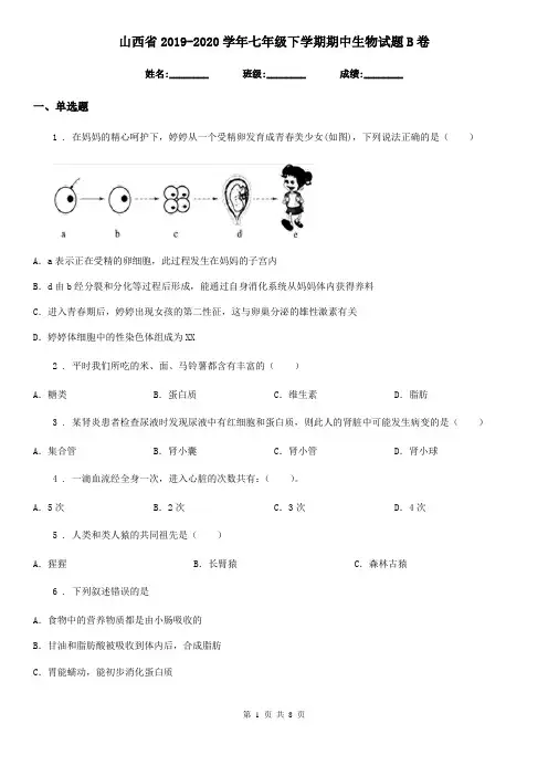 山西省2019-2020学年七年级下学期期中生物试题B卷