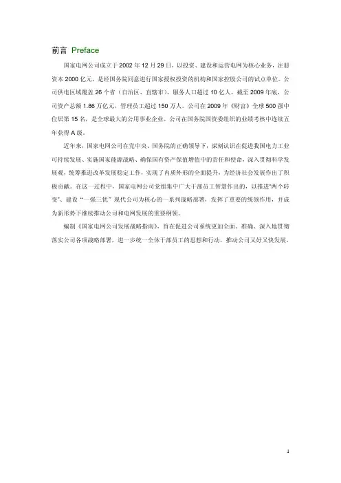 国家电网公司发展战略指南