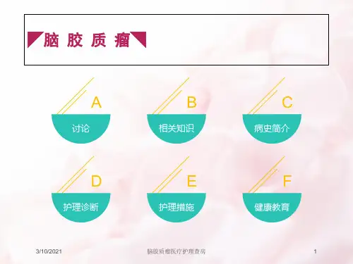 脑胶质瘤医疗护理查房培训课件