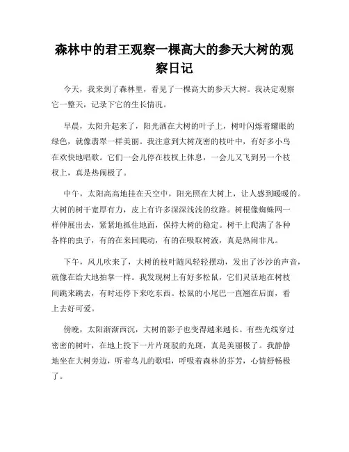 小学三年级作文森林中的君王观察一棵高大的参天大树的观察日记