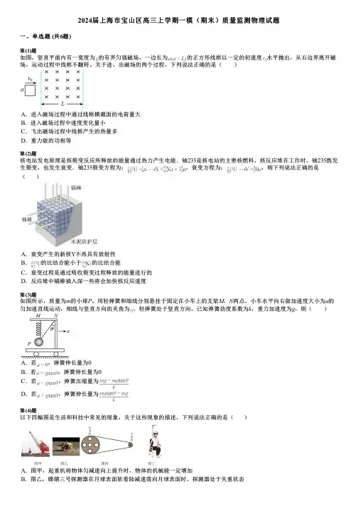 2024届上海市宝山区高三上学期一模(期末)质量监测物理试题