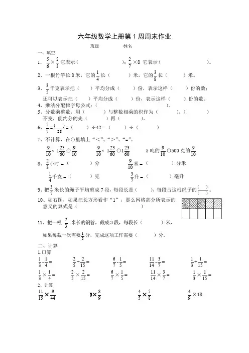 六年级数学上册第1周周末作业