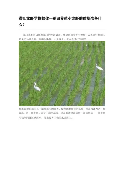 潜江龙虾学校教你—稻田养殖小龙虾的前期准备什么？