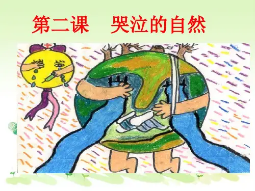 教科版初二下册政治2哭泣的自然PPT课件(12)