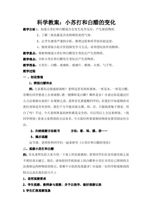 六年级下册科学教案 -2. 4 小苏打和白醋的 变化｜教科版 (6)