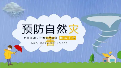 防台风安全教育PPT