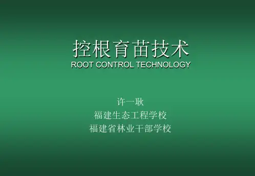 控根08729