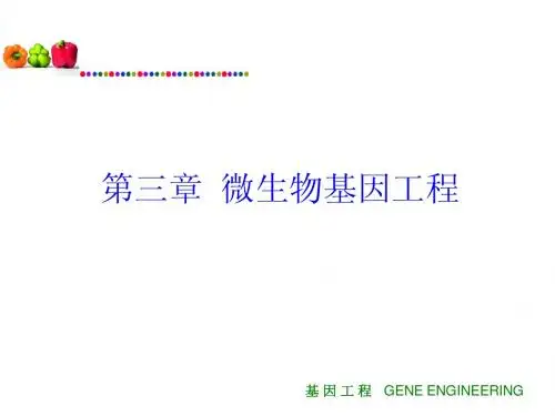 基因工程第三章  微生物基因工程