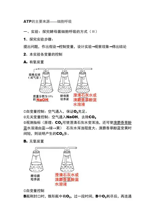 ATP的主要来源——细胞呼吸知识点 2
