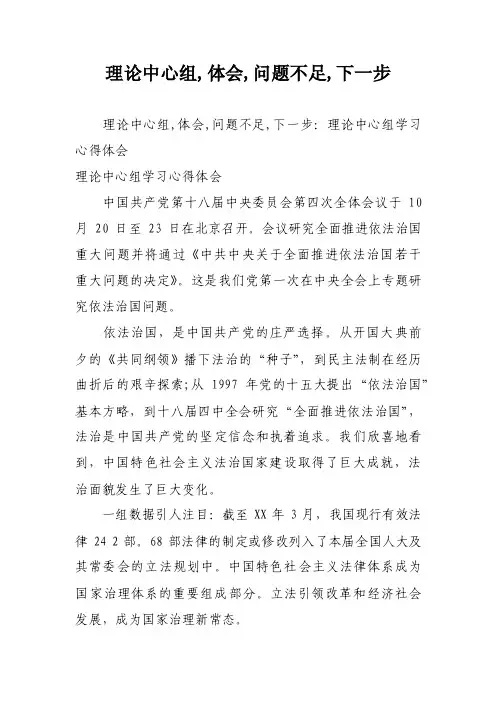 理论中心组,体会,问题不足,下一步