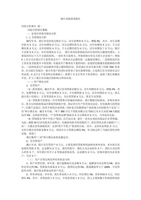 银行风险排查报告