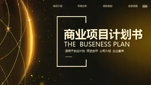 黑金商业项目计划书PPT通用模板